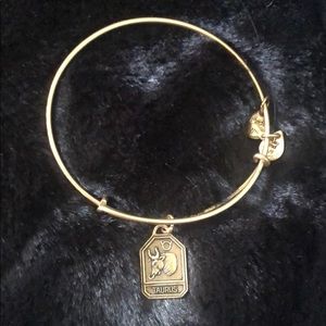 Alex And Ani - Taurus Tag